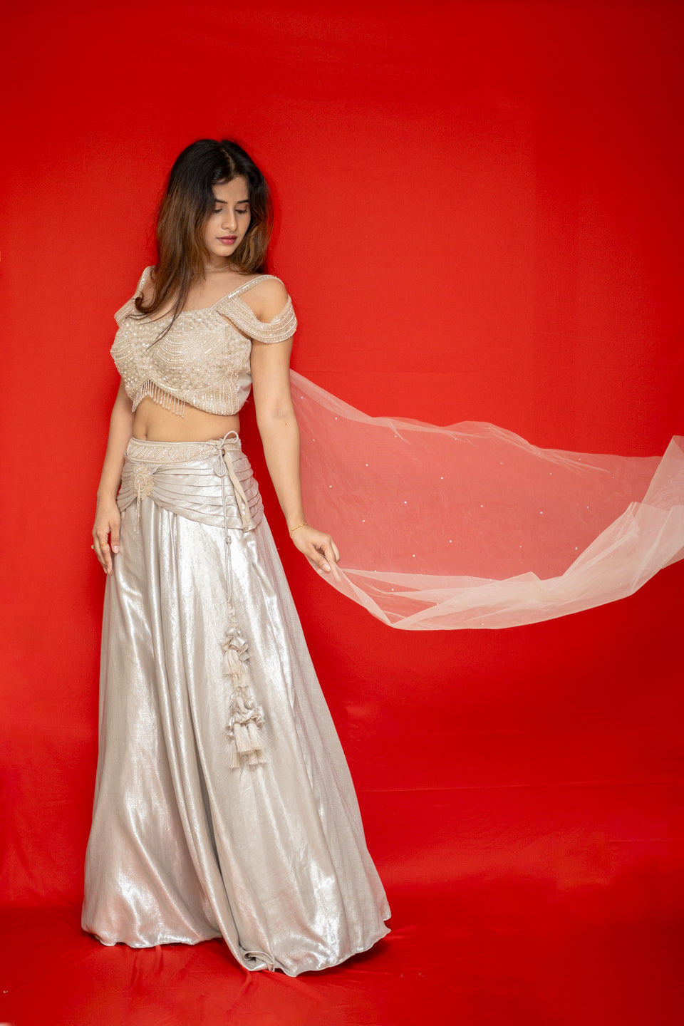 Elegant Wedding & Occasional Lehenga Set